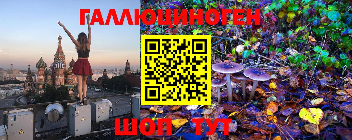 Псилоцибиновые грибы Magic Shrooms Заинск