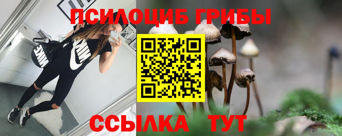 Заинск  Псилоцибиновые грибы ЛСД  Псилоцибиновые грибы Magic Shrooms  Вход с VPN 
